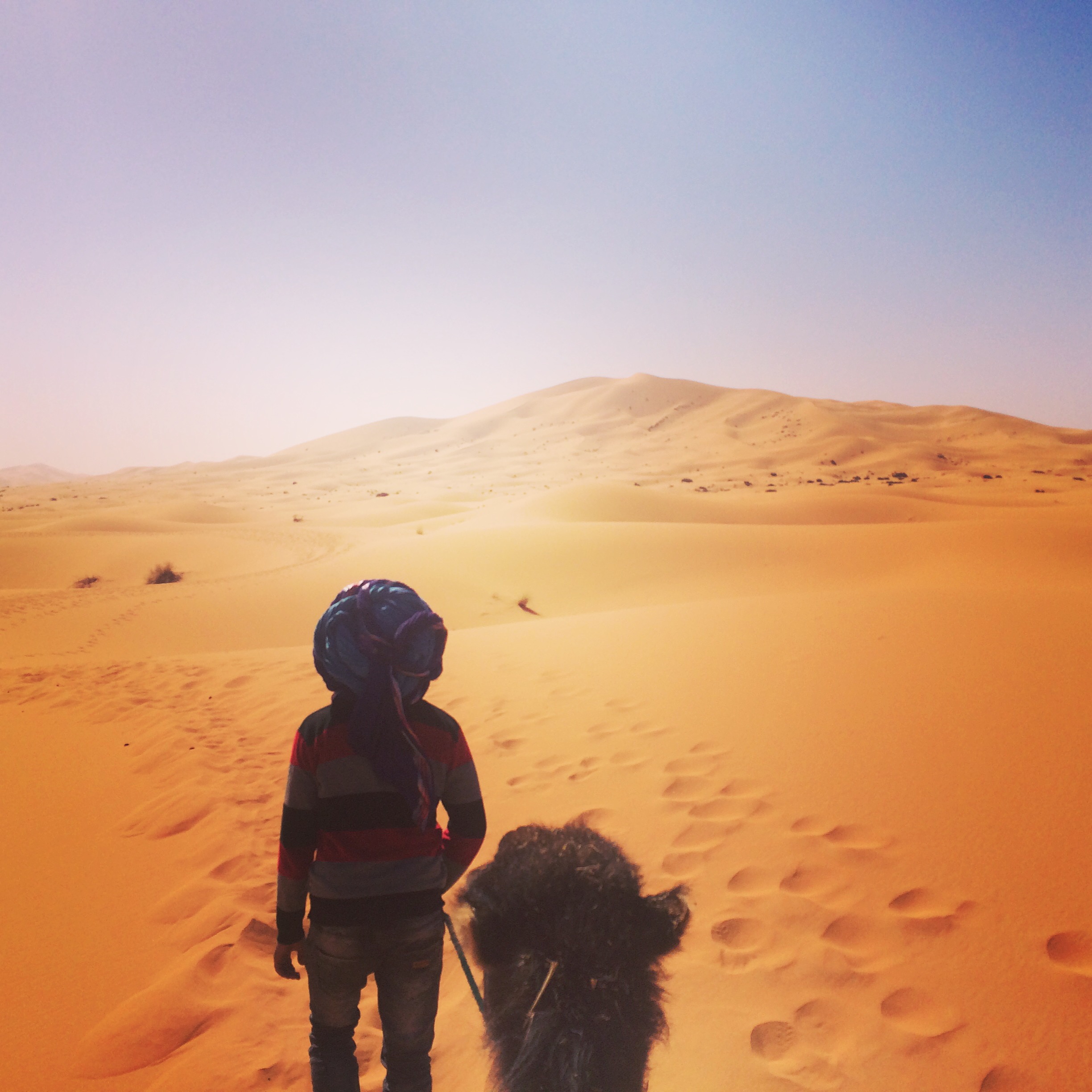 【サハラ砂漠への行き方・楽しみ方】人生1度は砂漠に行こう。体験談